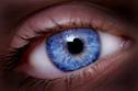 <p>blue eyes</p>