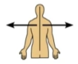 <p>away from the midline of the body; on the outer side of</p>