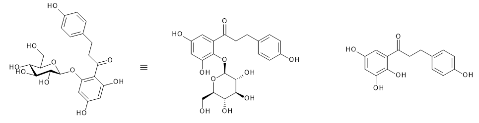 <ul><li><p>Phlorizin</p><ul><li><p>Derived from apple tree bark</p></li><li><p>Known to produce glycosuria since 1886</p></li><li><p>Identified as SGLT2 inhibitor in 1973</p></li><li><p>Inactive at GLUTs</p></li><li><p>Binds to SGLT2 more potently than glucose does. </p></li><li><p>Explains why the compound gives glycosuria</p></li><li><p>Implies the aglycone contributes to binding.</p></li></ul></li><li><p>Phloretin</p><ul><li><p>Inhibits GLUT transporters</p></li></ul></li></ul><p></p>