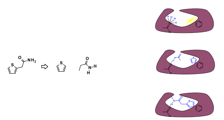 <ul><li><p><span>The receptor interaction surface is derived from crystallographic information and approximated by a finite set of interaction centers. </span></p></li><li><p><span>The ligand is fragmented into base fragments.</span></p></li><li><p><span>The ligand fragments are placed into the active site by matching the interaction centers. </span></p></li><li><p><span>The number of solutions is reduced by clash testing.</span></p></li><li><p><span>The base fragments are linked in compliance with a torsional database or a force field</span></p></li></ul><p></p>