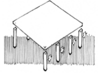 <p>Wat word hier afgebeeld?</p>