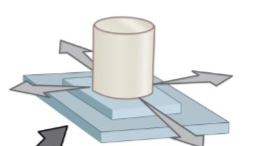<p>ex: btwn tarsal joints</p>
