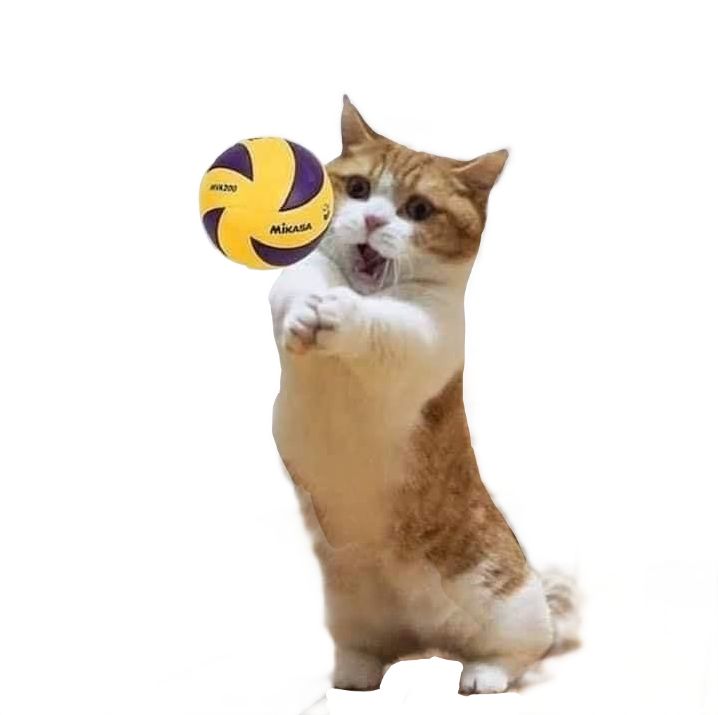 <p>I love to <strong>play volleyball</strong></p>