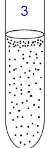 <p>Facultative anaerobe </p>
