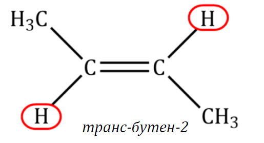 <p>C4H8</p>