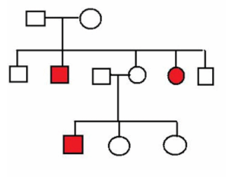 <p>What is the MOST likely mode of inheritance for the trait segregating in the pedigree below?</p><p>X-linked recessive</p><p>autosomal recessive</p><p>could be either X-linked recessive or autosomal recessive</p><p>X-linked dominant</p><p>autosomal dominant</p>