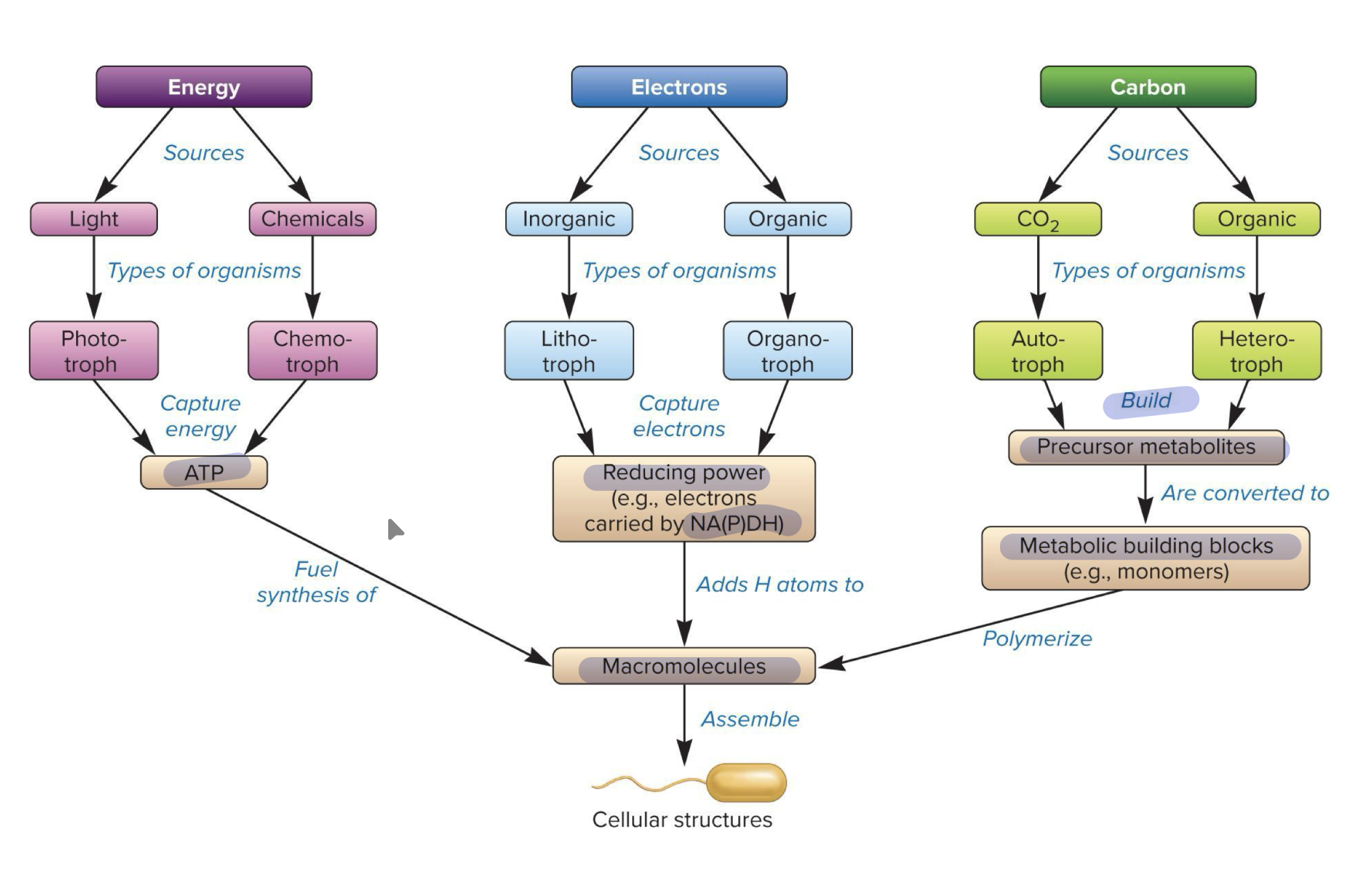 knowt flashcard image