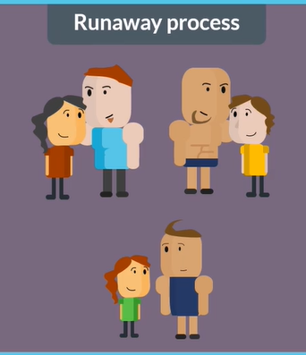 <p>runaway effect/process</p>