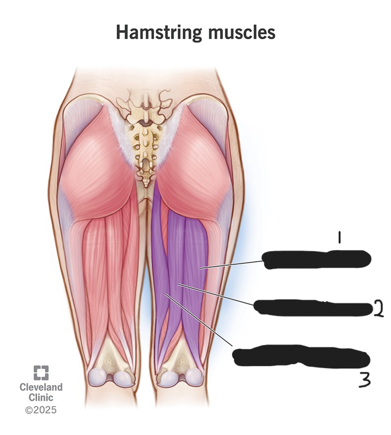 <p>1?</p>