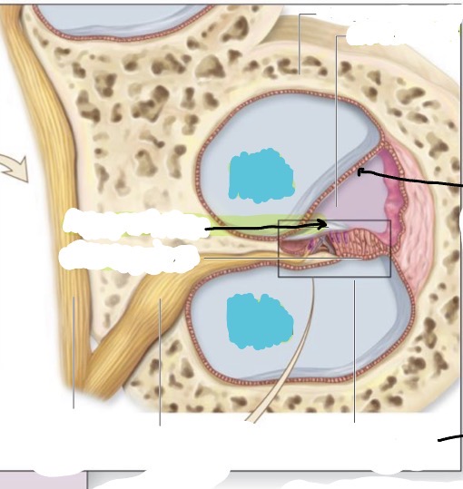 <p>what is this </p>