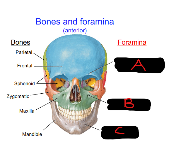 <p>Define C</p>