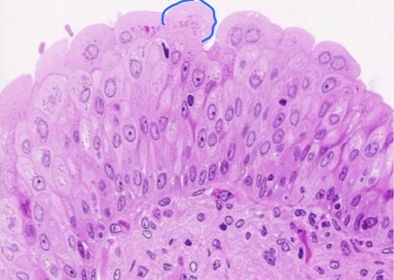 <p>What is this?</p>