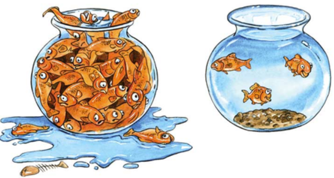 <p>Capacity of sensory memory</p>