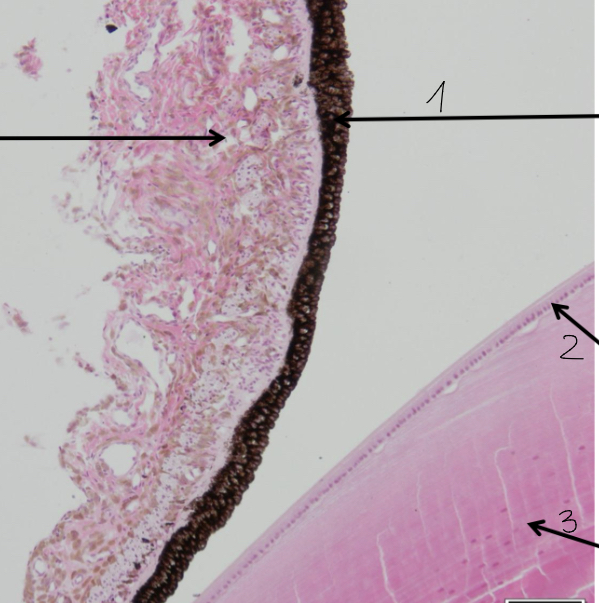 <p>1</p>