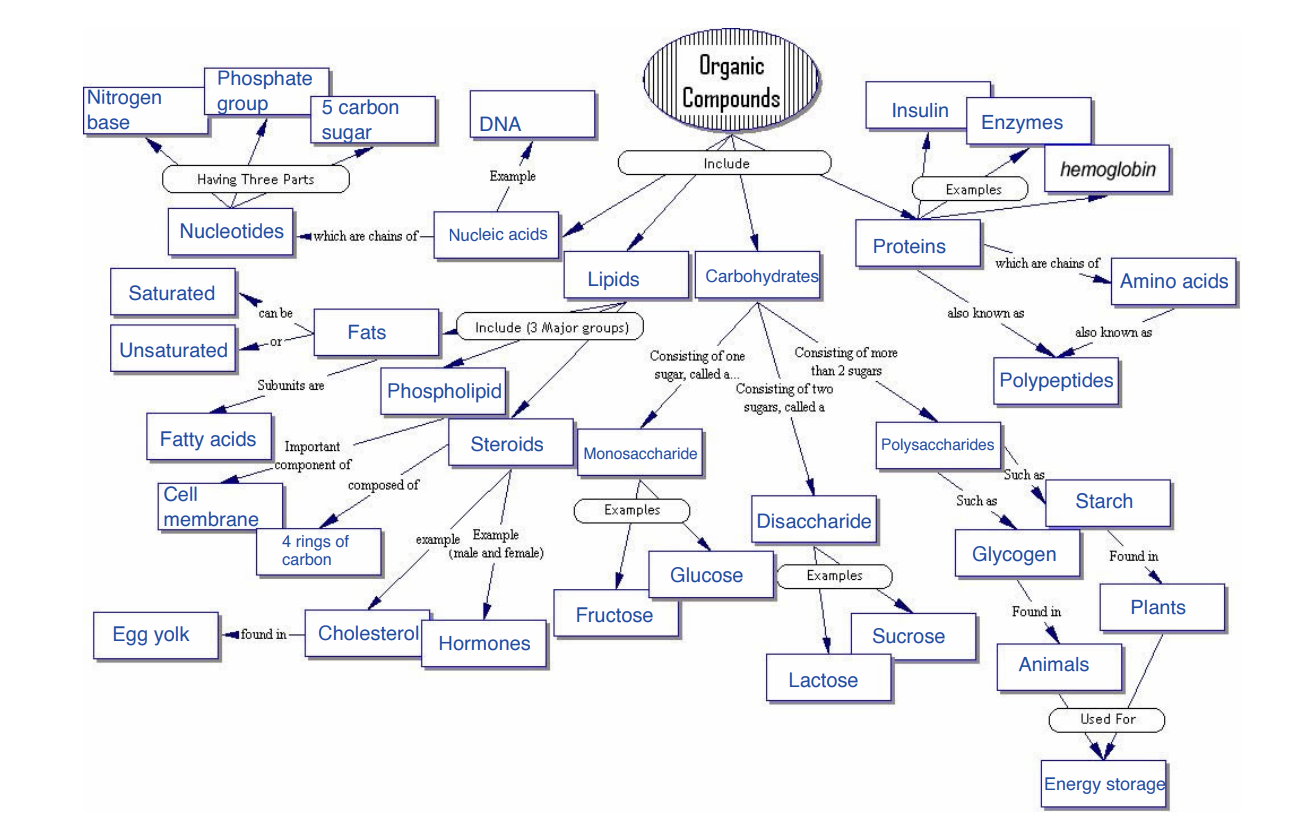 knowt flashcard image