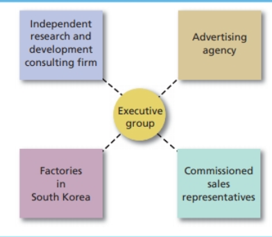 <p>A small core organization that outsources its major business functions</p>