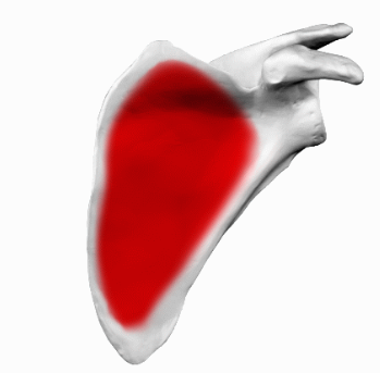 <p>what is highlighted</p>