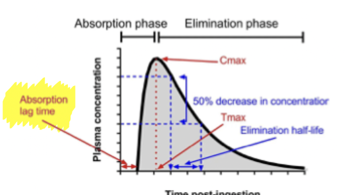 <ul><li><p>For some drugs, absorption does not start immediately, due to delay in gastric emptying time or intestinal motility</p></li></ul><p></p>