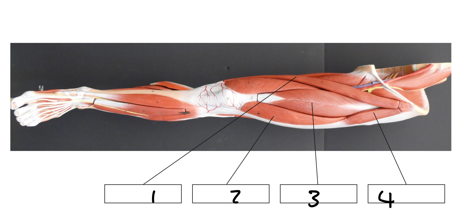 <p>2</p>