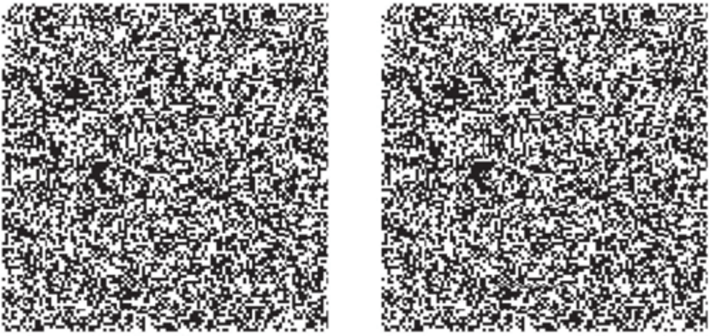 <p>Evidence that disparity I sufficient for stereopsis. No need for cues from object perception.</p>