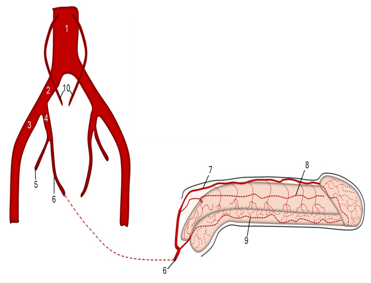 <p>Identify this image.</p>