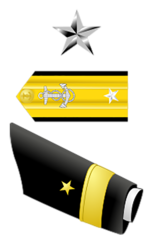 <p>Navy & Coast Guard: O-7</p>