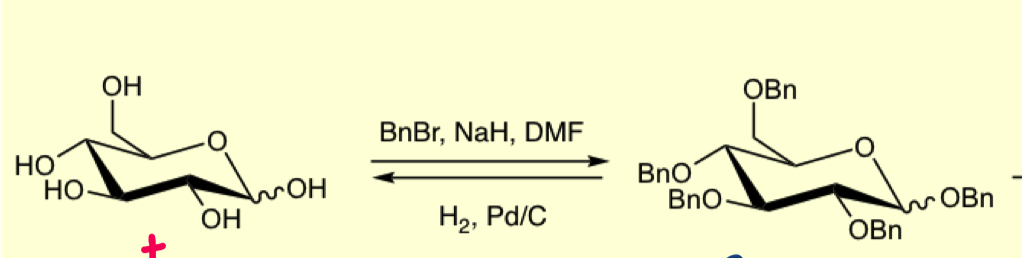 <p>draw the mechanism for benzyl groups </p>