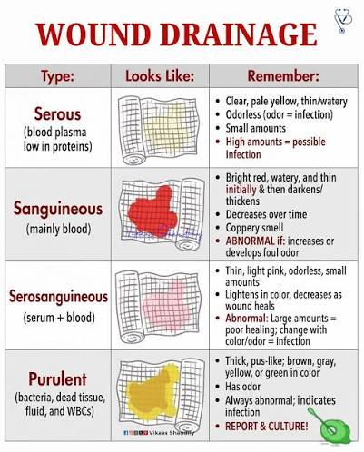 <p>Fresh bleeding.</p>