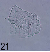 term image