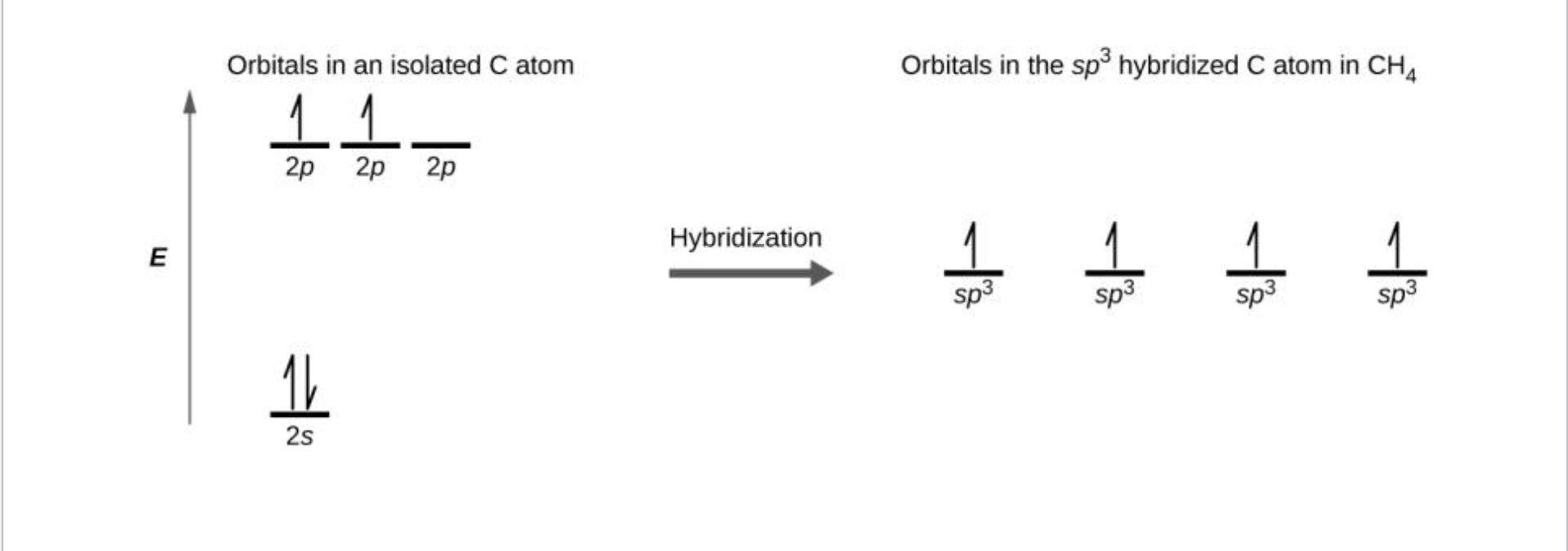 <ul><li><p>S and P orbitals combine</p></li></ul><p>- Notated as SP^x  with x being the number of P orbitals that needed to be used </p><ul><li><p>Done when multiple bonds are needed </p></li></ul><p>- 1 Bond for every pair used   </p><p></p>