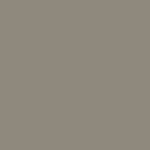 <p>Color? </p>