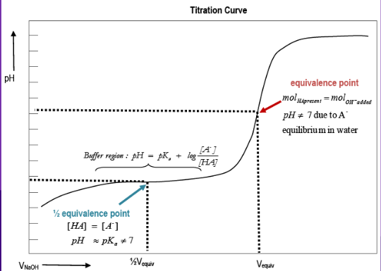 <ul><li><p>½ equivalence point→ [HA] = [A-]</p></li><li><p>Equivalence point→ mol weak acid present=mol OH- added</p></li><li><p>At the equivalence point, pH does not equal 7 due to the weak acid equilibrium in water ( A + H2O →← HA + OH- soln. becomes basic)</p></li></ul><p></p>