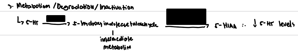 <p>Identify enzymes on sertooni metabolism </p>
