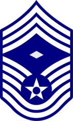 <p>Air Force: E-9</p>
