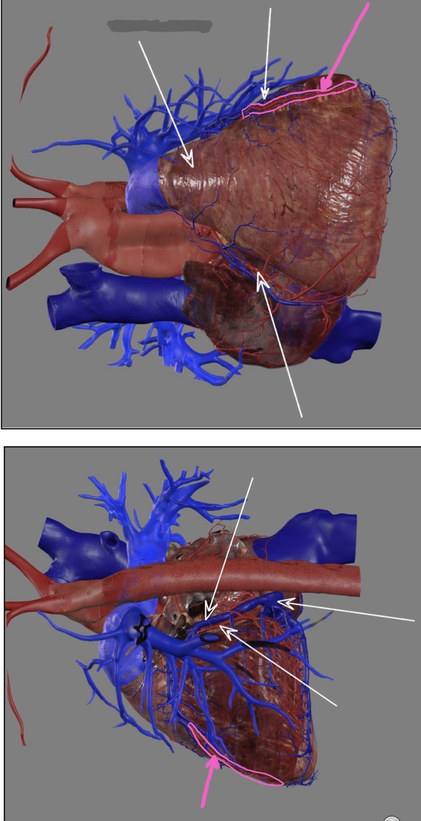 <p>What’s the highlighted area?</p>