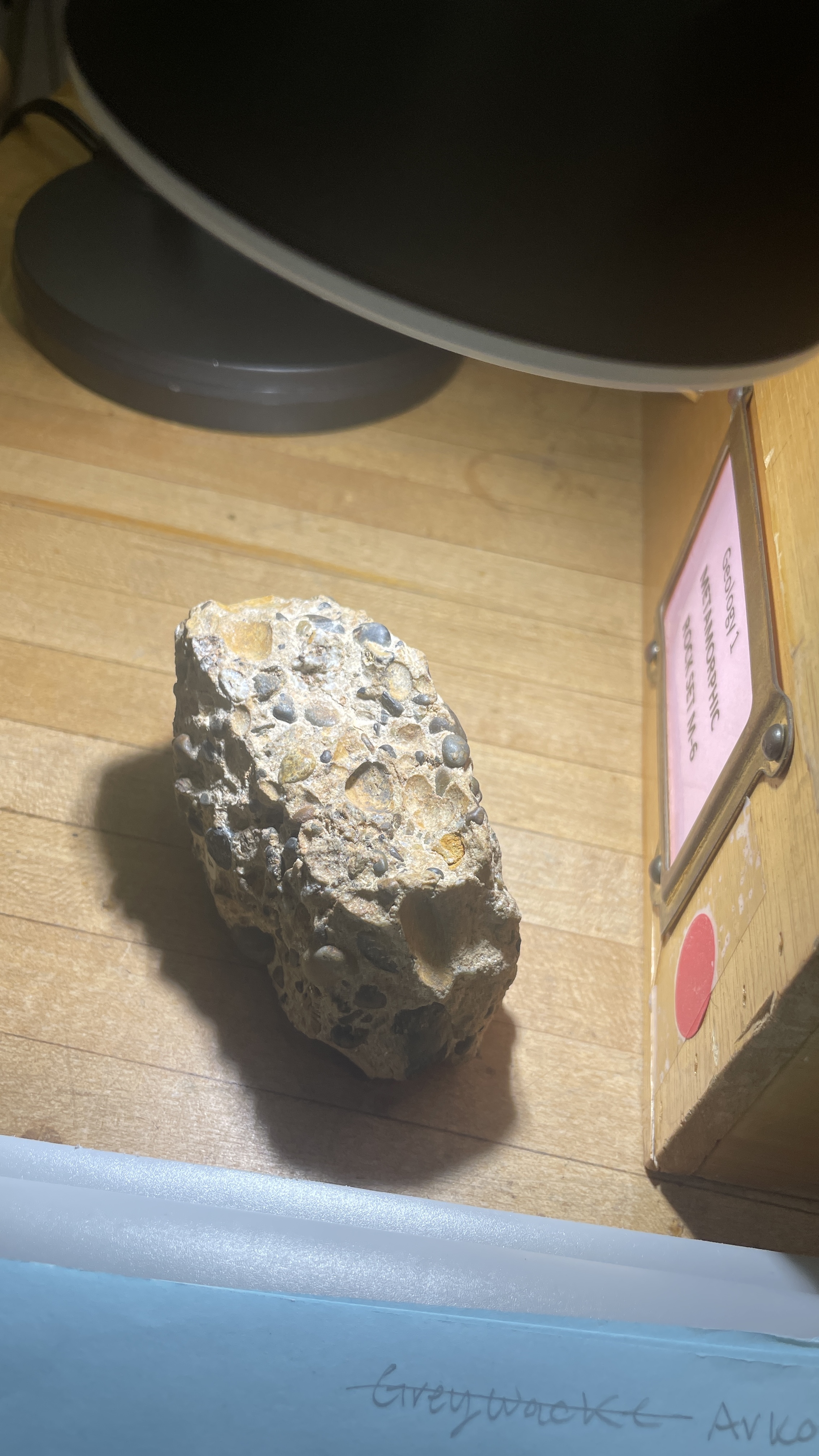 <p>Conglomerate </p>