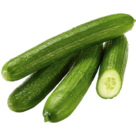 <p>Gurken</p>