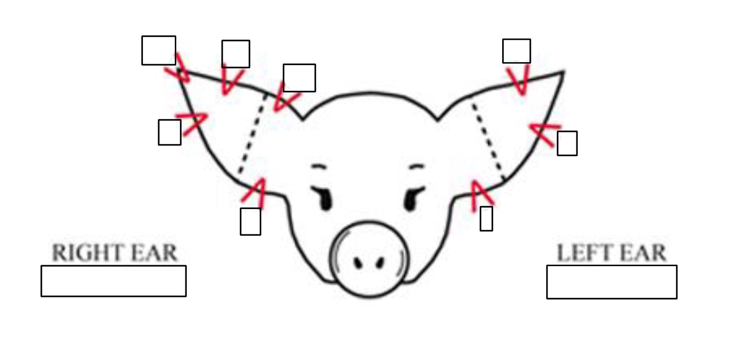 <p>Label this image </p>