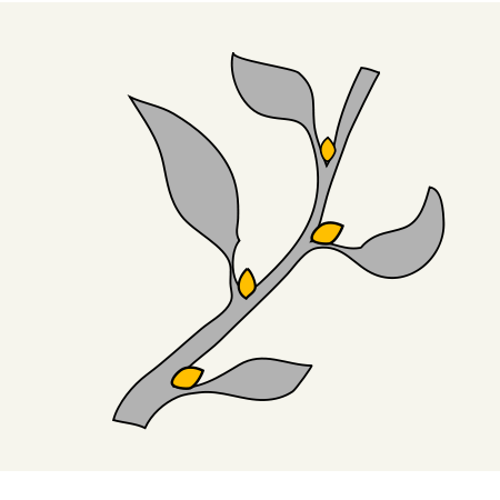 <p>buds that may expand into new shoots</p>