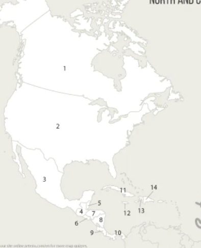 <p>8</p>