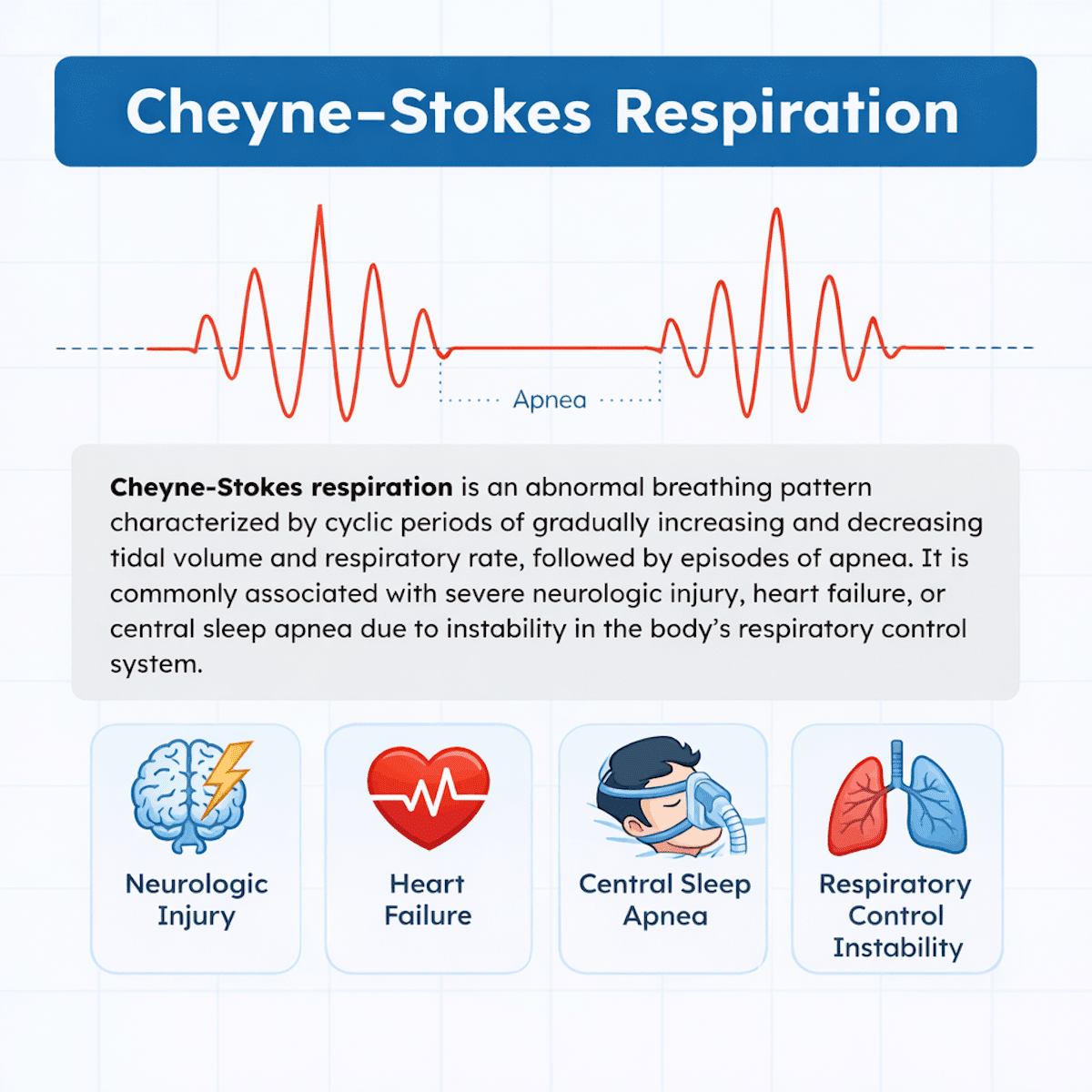 <p>gradual increase then decrease in breathing followed by apnea (CHF, heart cannot pump enough blood; stroke, MI)</p>