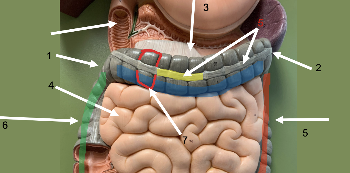 <p>identify #3, 4, 5, 6, 7</p>