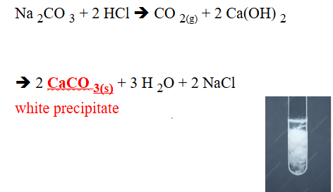 <p><span style="line-height: 0px;">NON-METALLIC IONS​: <strong>CO<sub>3</sub><sup>–2</sup> (carbonate)</strong></span></p>