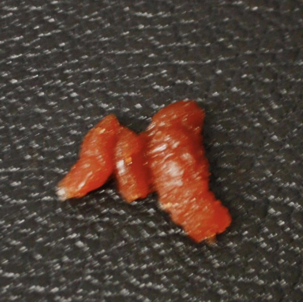 <p>Identify this scat</p>