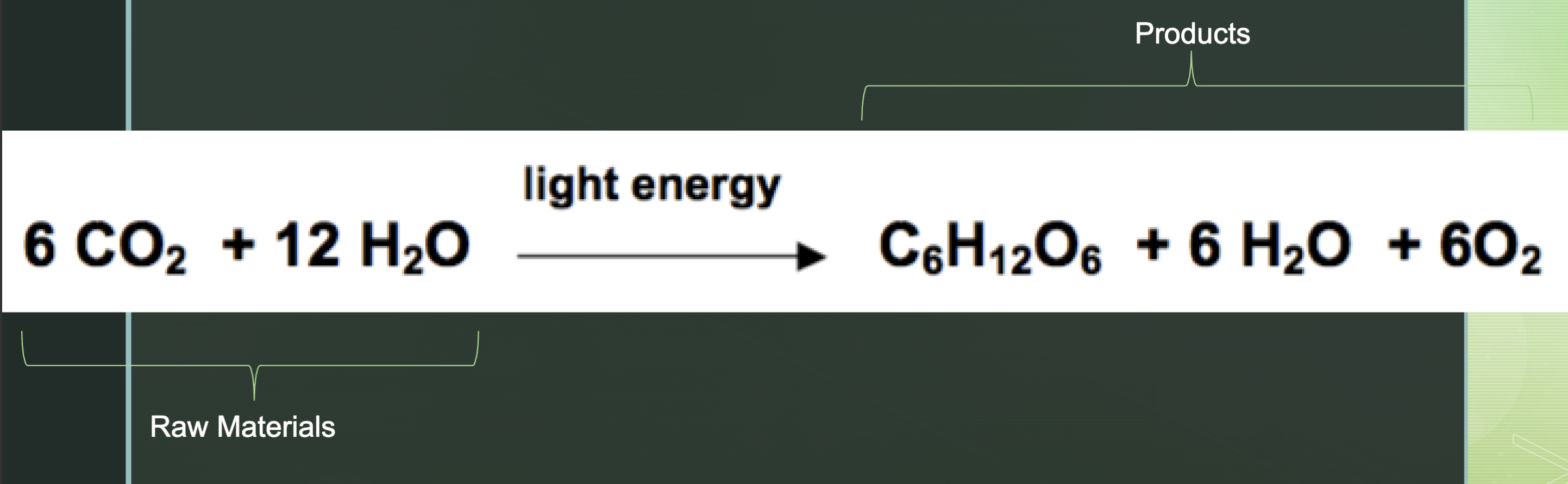 <p>H2O &amp; CO2  → CHO, H2O, O2,</p><p>(light energy not raw material*)</p>