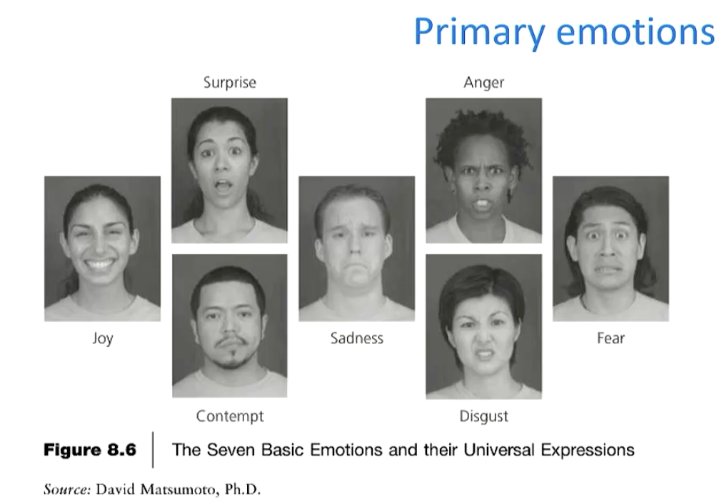 <p>Another one could be: PRIDE (body language &amp; face)</p><ul><li><p>study found that ppl who are born blind and are generally blind show this emotion</p></li></ul><p></p>