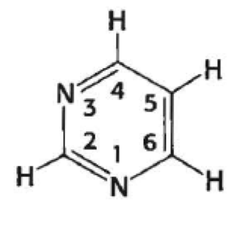 <p>what is this (generally)</p>