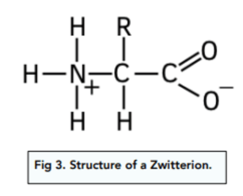 <p>A dipolar ion, which has both a positive &amp; negative charge in different parts of the molecule</p>
