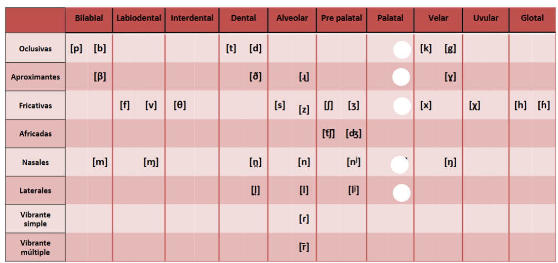 <p>Palatal</p>