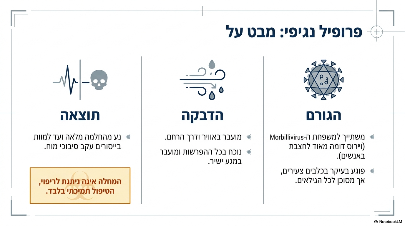 <ul><li><p><strong>גורם המחלה:</strong> נגיף מסוג <em>מורביליוירוס</em>, הדומה מאוד מבחינה מבנית לנגיף החצבת בבני אדם.</p></li><li><p><strong>דרכי העברה:</strong> הנגיף מועבר במגע, דרך האוויר (אירוסול) ודרך הרחם (מהאם לגורים). הוא מצוי בכל סוגי ההפרשות של בעל החיים הנגוע.</p></li><li><p><strong>אוכלוסיית מטרה:</strong> פוגע בעיקר בכלבים צעירים, אך יכול להופיע בכל הגילאים.</p></li><li><p><strong>חציית מינים:</strong> הנגיף אינו מוגבל לכלבי בית בלבד; הוא עובר בקלות בין מינים שונים, כולל כלבי בר וחתוליים גדולים.</p></li><li><p><strong>מהלך המחלה:</strong> בחלק מהכלבים מדובר במחלה חולפת המובילה להחלמה מלאה, בעוד שבחלקם נגרם מוות לאחר ייסורים קשים (עקב סיבוכים מוחיים). הכלבים שמחלימים עלולים לפתח סיבוכים מאוחרים גם שנים לאחר מכן</p></li></ul><p></p>